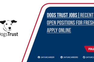 Dogs Trust Jobs