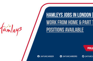 Hamleys Jobs